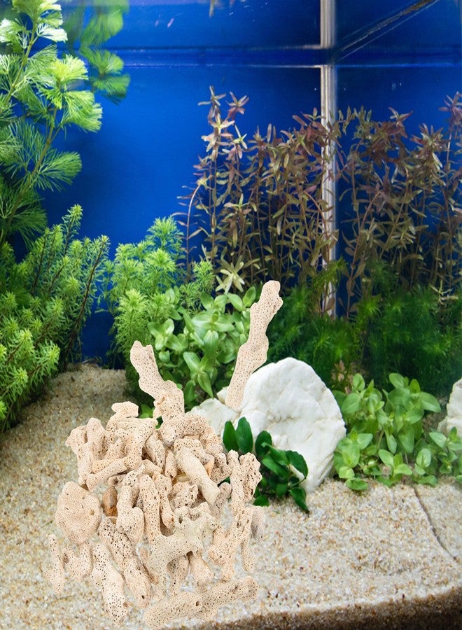 VOSCHOIX Crushed Coral Filter for Aquarium, 1.1 LB Natural Coral Stone for Freshwater Aquarium PH Fish Tank Filters Media Bottom Landscape Decorations - Image 3